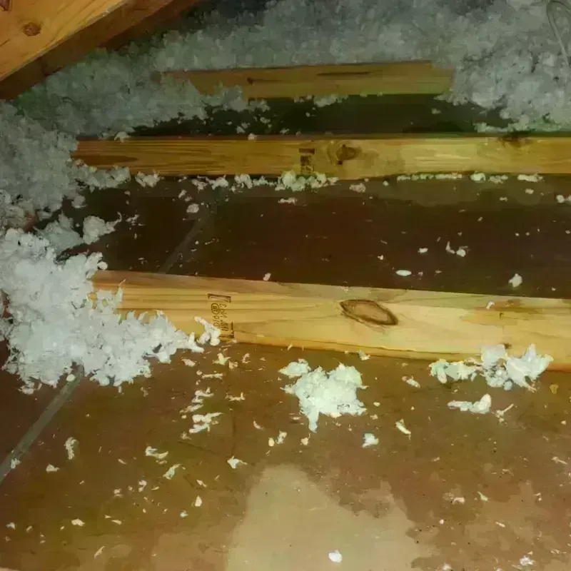 Attic Water Damage in Clay Center, KS