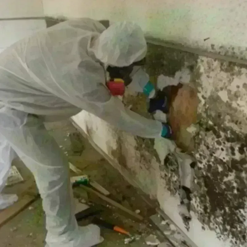 Mold Remediation and Removal in Clay Center, KS