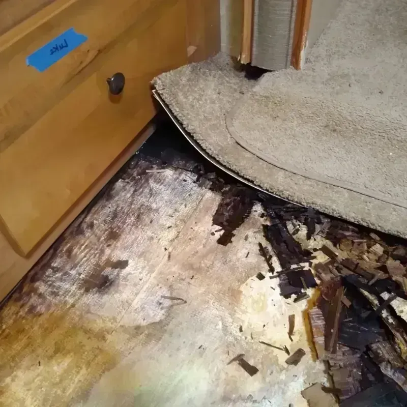 Wood Floor Water Damage in Clay Center, KS